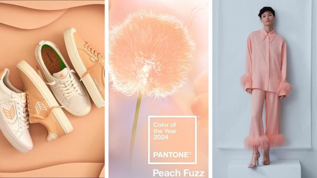 رنگ سال 2024 صورتی هلویی (Peach Fuzz) توسط پنتون انتخاب شد
